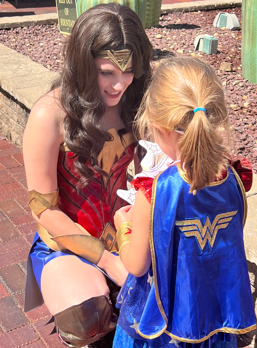 About Dr. Princess Parties